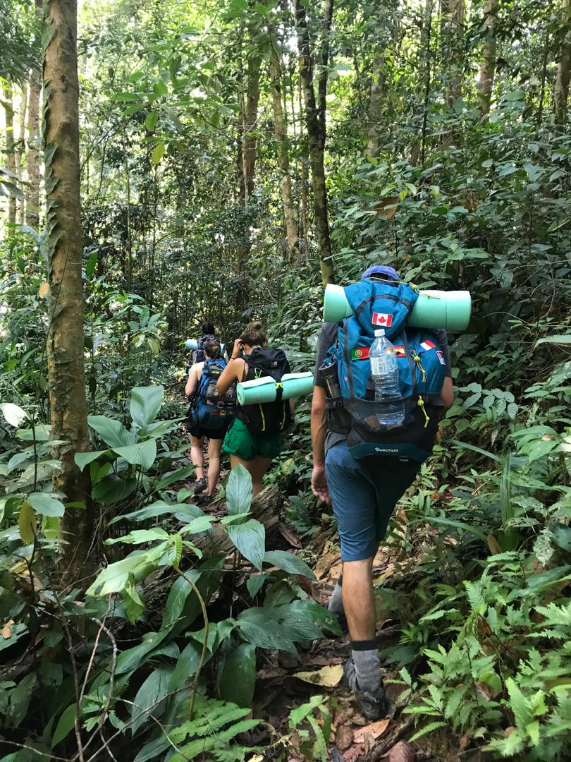 Jungle trekking